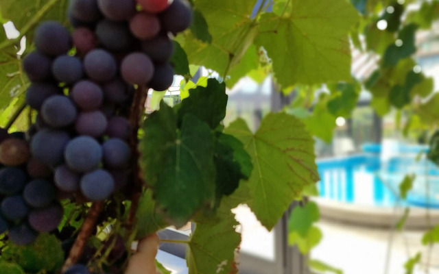 Villa Coast River Sarajevo