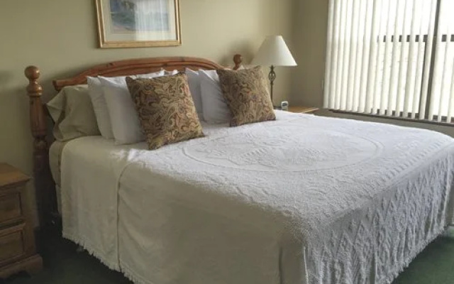 Alpine Village Resort, Burnsville, USA - фото 2