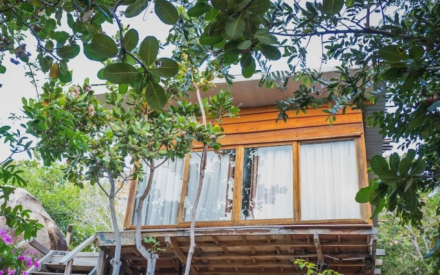 Sao Bien Cam Ranh