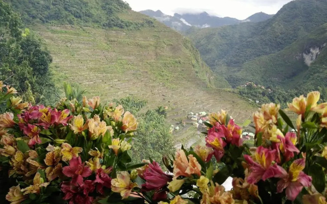 Batad View Inn and Restaurant