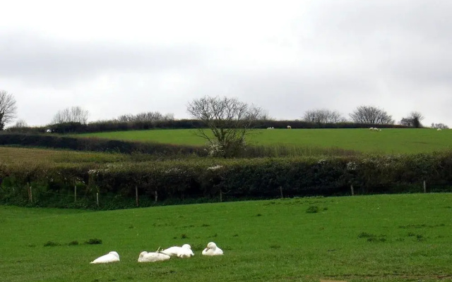 The Barn