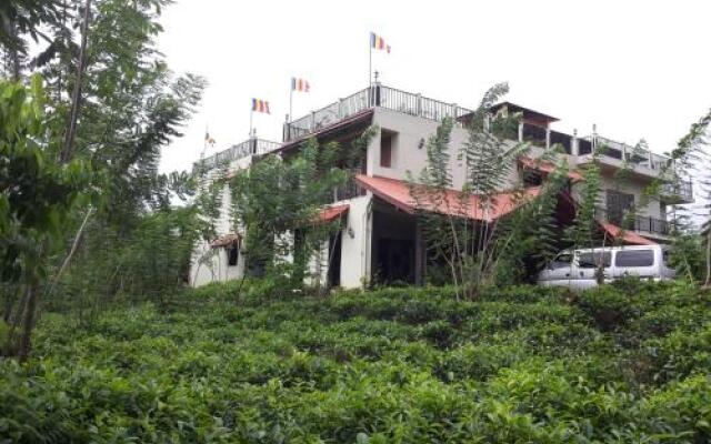 Manikgoda Tea Paradise