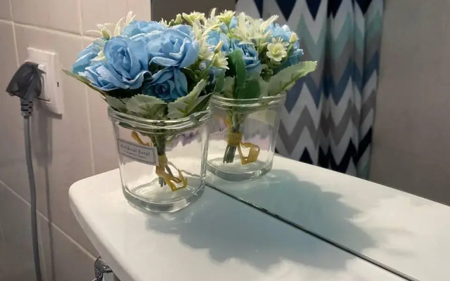 Апартаменты Атмосфера