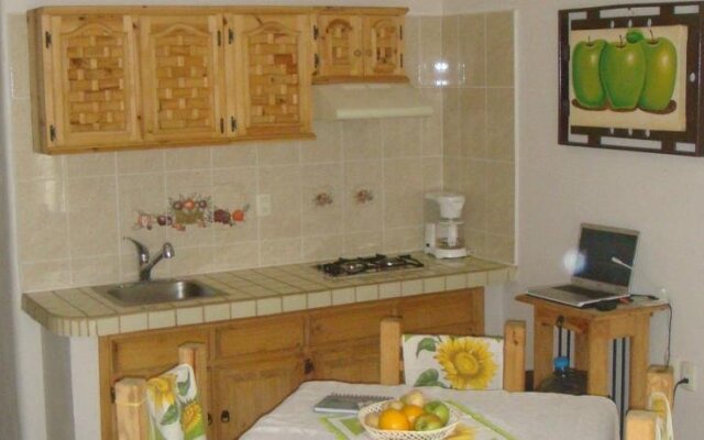 Departamentos Paloma del Mar