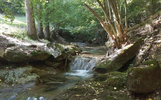 Apartamento Ca L'Anton