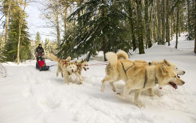 VVF Villages « Les Monts du Jura » Lélex