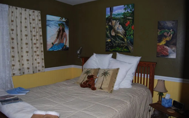 Volcano Artist Cottage - Cottages_and_Houses in فولكانو - Photo 2