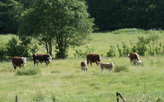 The Old Henhouse