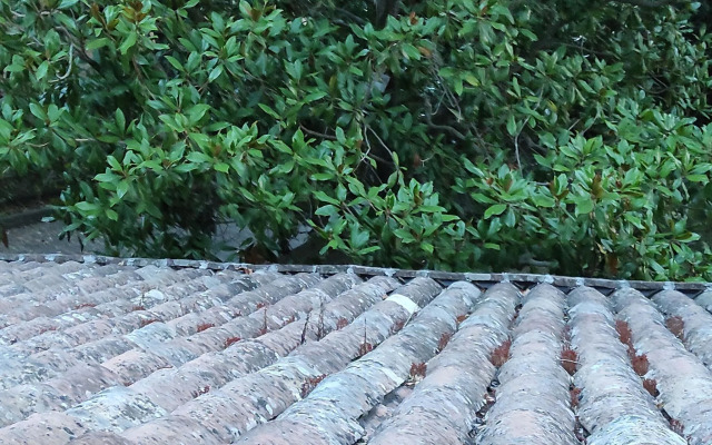 Nice villa in Ragalna with a nice garden