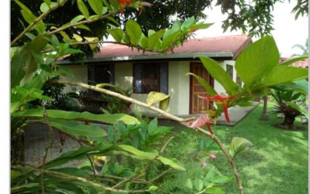 Taylor's Place Tortuguero Costa Rica