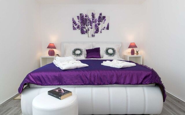 Relax Derossi Olive&Lavanda