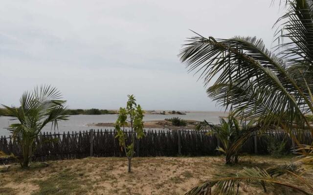 dolphin wadiya