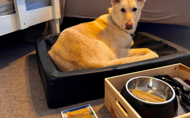 STF Sälen Torgåsgården