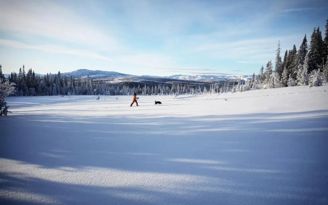 Edsåsdalen Fjällstation & Fjällby