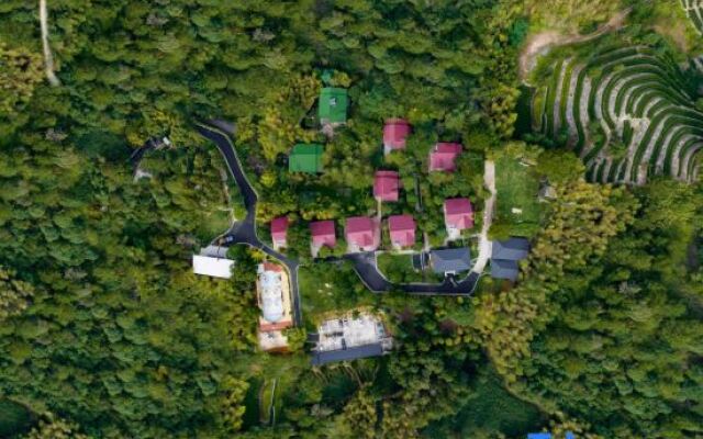Wuyishan Rongjingshu Hotel