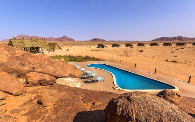 Desert Quiver Camp