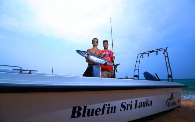 Bluefin Adventure