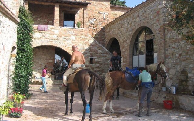 Podere Finerri - The Lazy Olive Villa