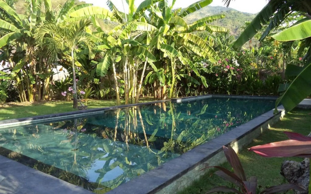 Pazzo Bali