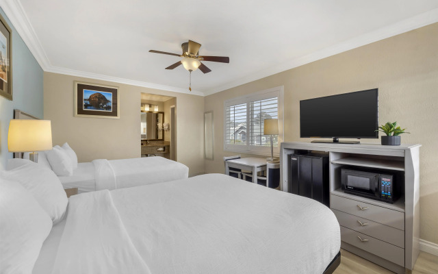 Best Western Tradewinds