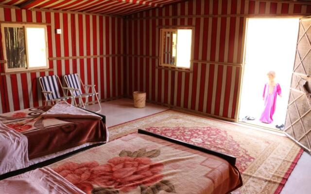 Safari Desert  Camp