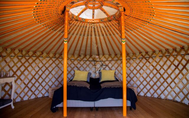 Traustholtshólmi - Yurt Experience on a Private Island