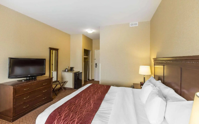 Comfort Hotel Airport