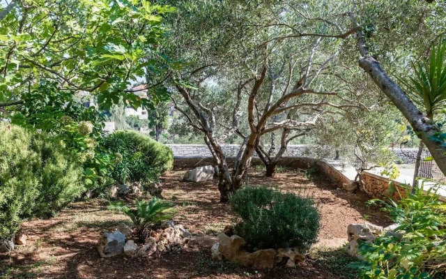 Zlatna - With Beautiful Garden - H