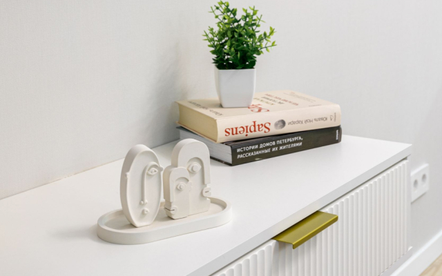 RentalSPb на Энергетиков 2