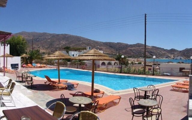 Purple Pig Stars Camping & Bungalows