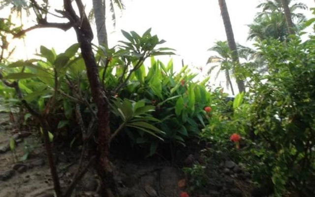 Ludu Guest House