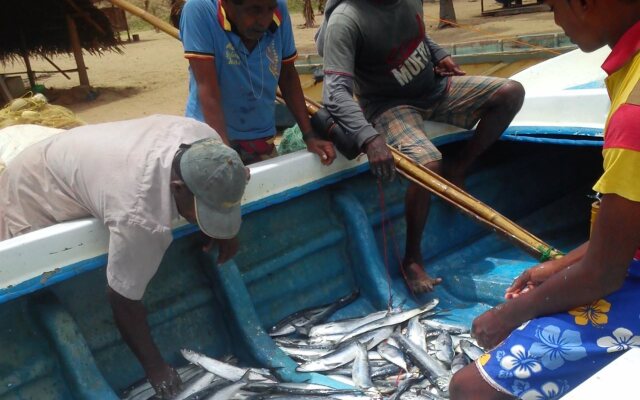 Alankuda Dolphin Village