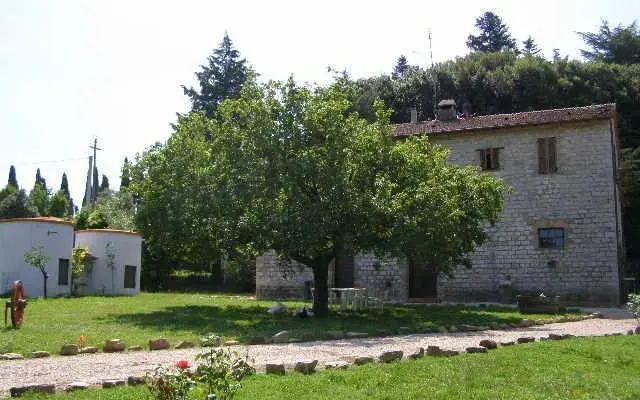 Il Girasole