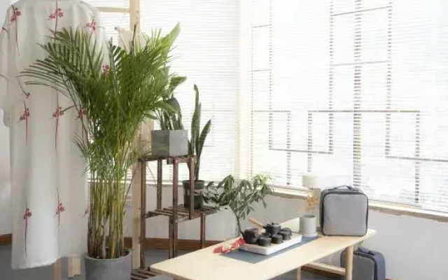 Mountain View Homestay