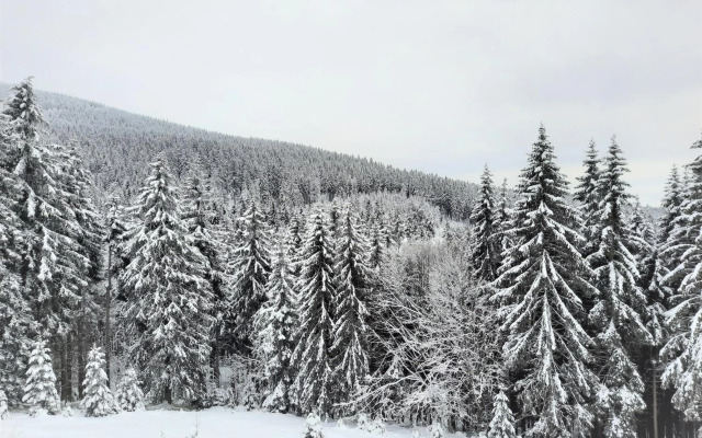 Velký apartmán Cihlarka pro až 17 osob
