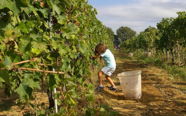 Agriturismo Le Baccane