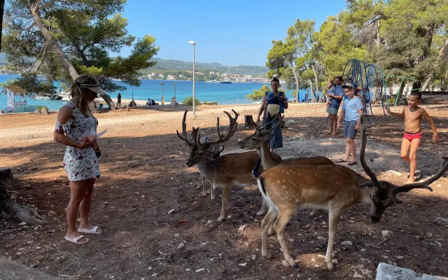 Gold & Silver Apartments