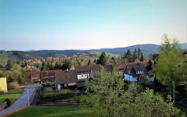 Inviting Apartment With Garden use in Sankt Andreasberg