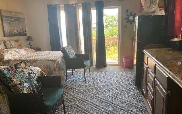 Nice Studio w/ AC near Kehena Beach and lava fields