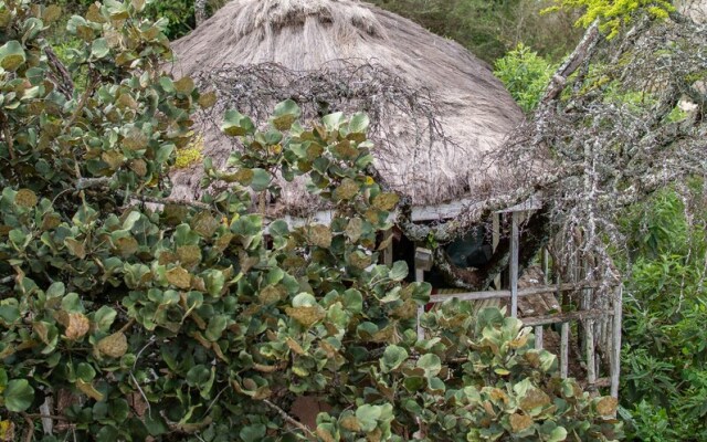 Kolol Riverside Resort