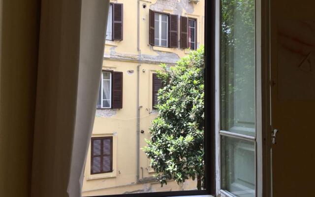 Magenta Classic San Pietro 34B