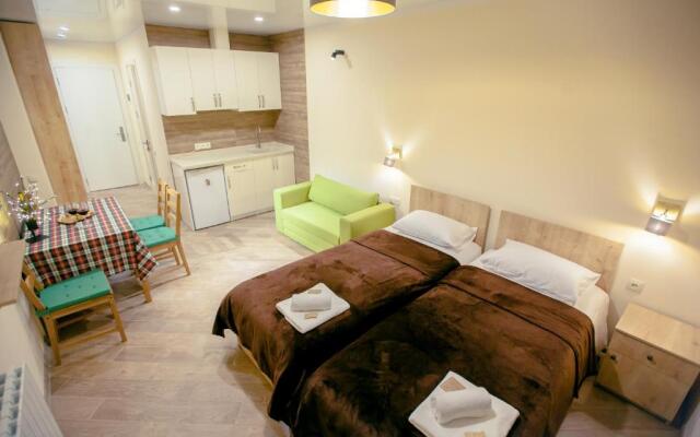 Cozy appartement, loft2 in New Gudauri