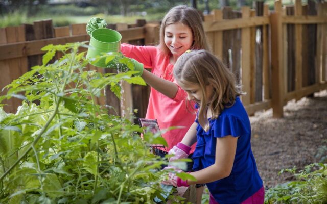 The Ritz-Carlton Orlando, Grande Lakes