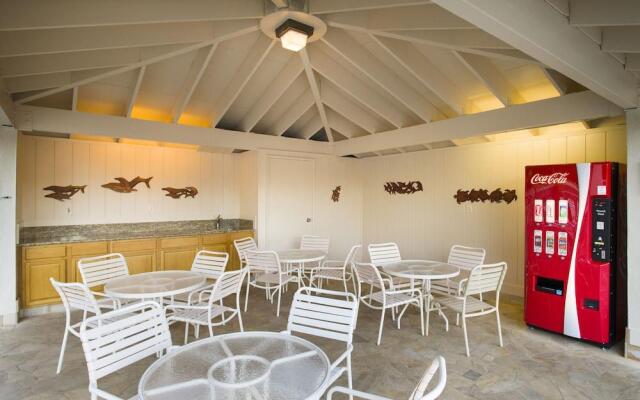 Maui Banyan Basic by AEI