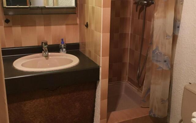 Appartement Les Deux Alpes, 1 pièce, 4 personnes - FR-1-348-217