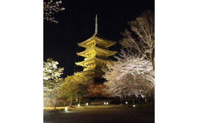 TSUBOMI Luxury Inn - Vacation STAY 05196v