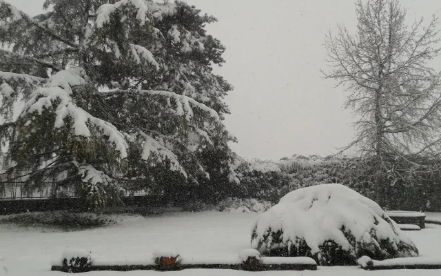 B&B Villa Ceirano Charme