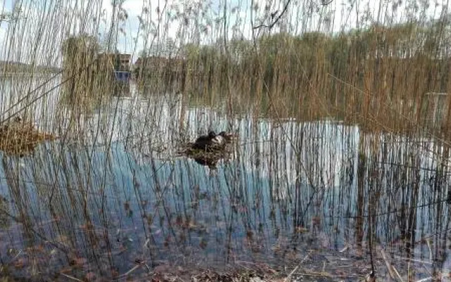 Mazury Mragowo Apartament