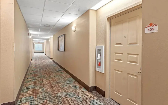 1BR Free Shuttle to Disney Parks