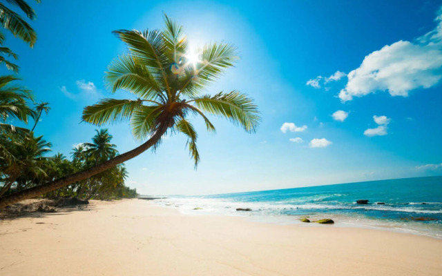 Sisuo Seaview Hotel Sanya